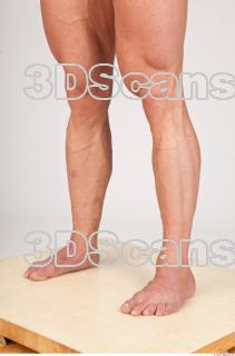 Leg texture of Dale 0005